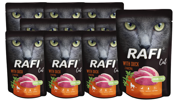 Вологий корм для дорослих котів Dolina Noteci RAFI cat з качкою, 100 г